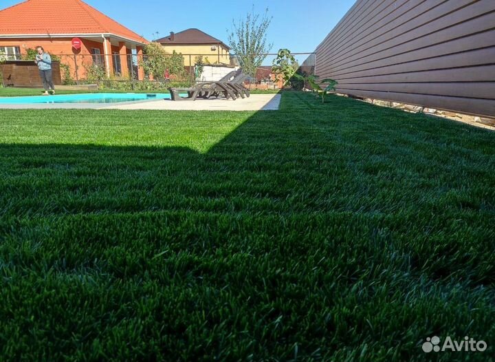 Рулонный газон 3-х летний