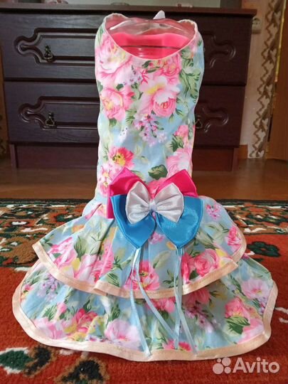 Одежда, обувь для маленькой собачки