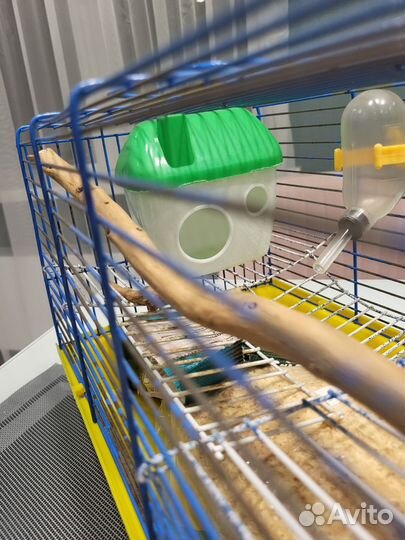 Клетка для хомяка 360/230/230