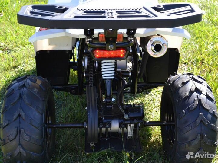 Квадроцикл TAO Motor Mudhawk 110