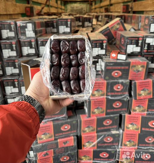 Финики иранские 