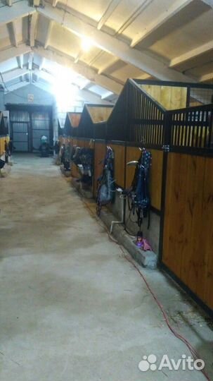 Постой для лошадей