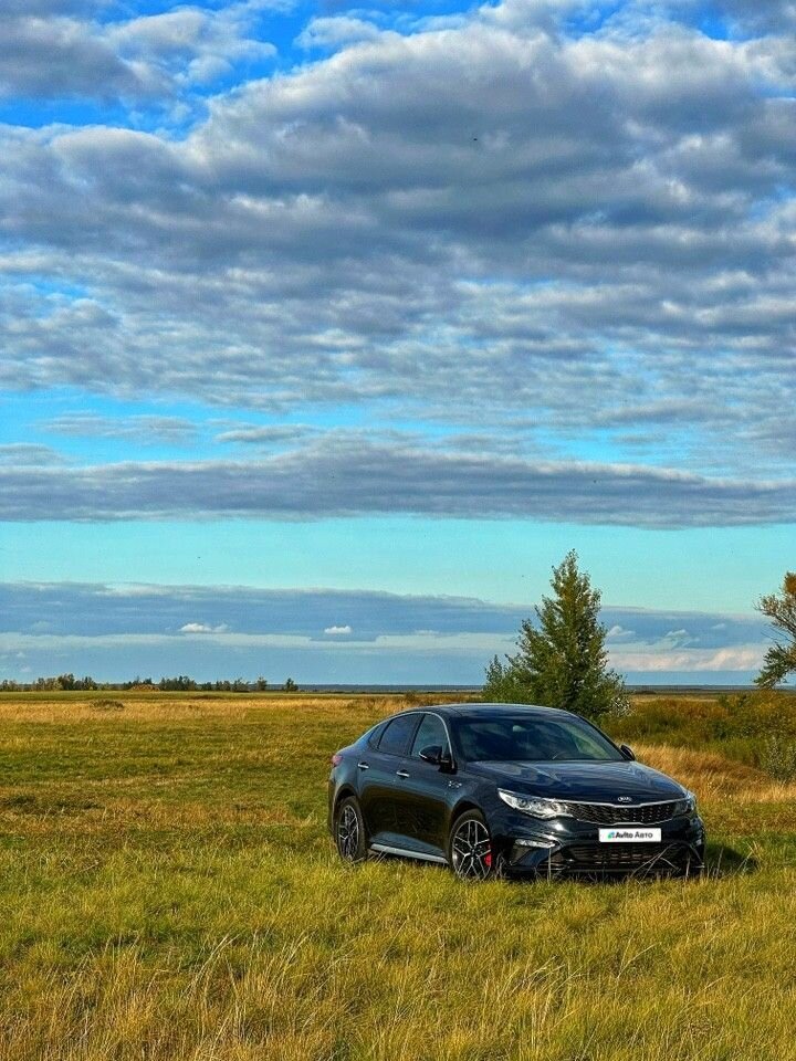 Kia Optima: фото владельца