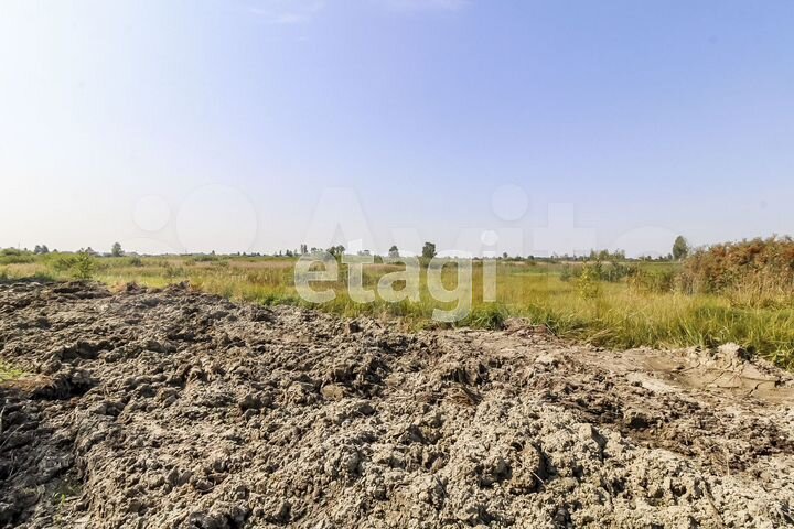 Участок 8 сот. (СНТ, ДНП)