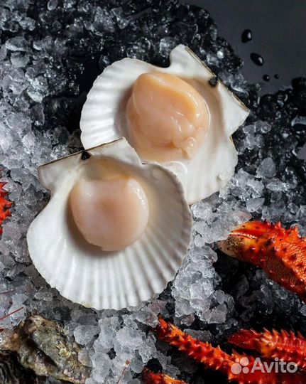 Морской гребешок Дальневосточный филе