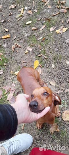 Вязка кабеля