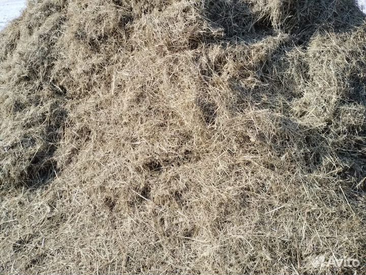Сено на мульчу в мешках. Цена за мешок
