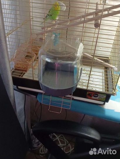 Купалка для птиц