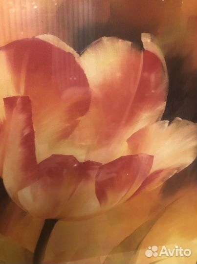 Постеры в раме