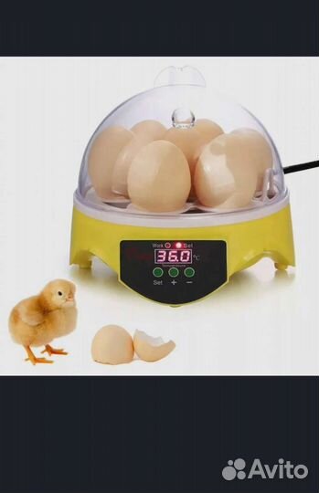 Инкубатор для яиц