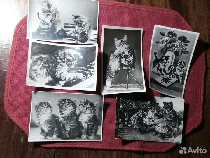 Почтовая карточка / кошки,котята /1940/50e гссср
