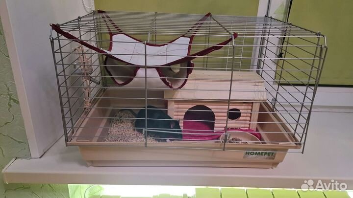 Клетка для грызунов большая
