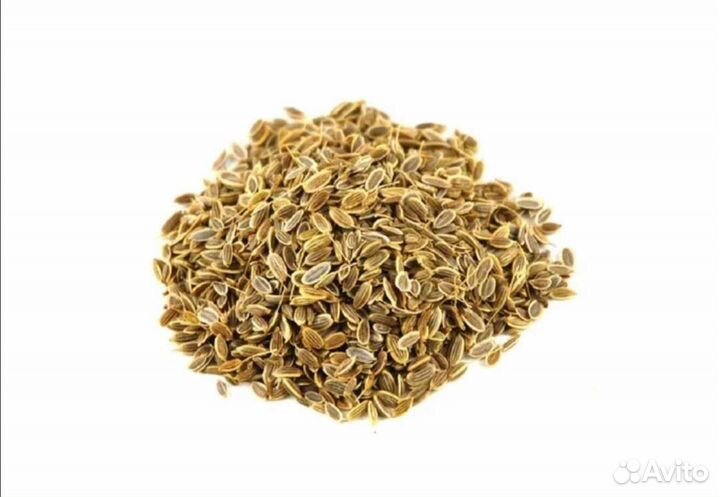 Семена укропа