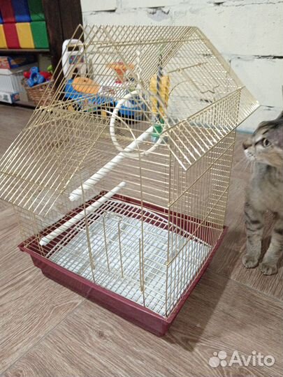 Клетка для волнистого попугая