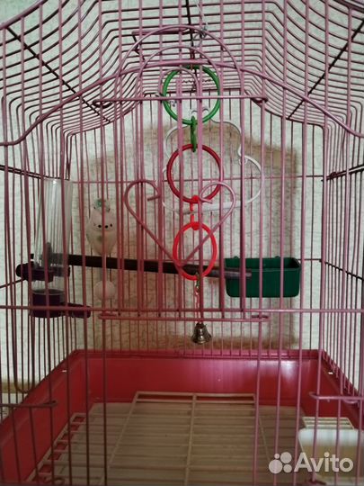 Клетка для птиц