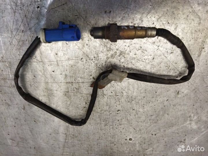 Датчик кислородный Ford Focus 2 хетчбэк 1.8 qqdb