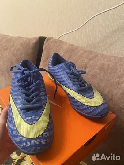 Сороконожки