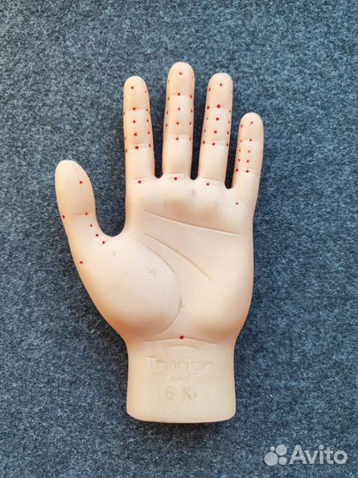 Муляж кисти руки