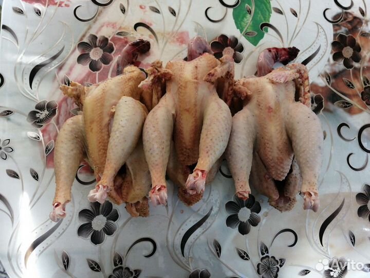 Мясо домашних петушков