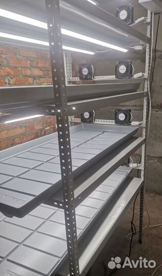 Стеллаж для выращивания