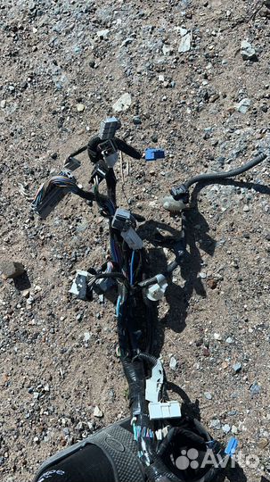 Lexus RX 450H проводка подкапотная