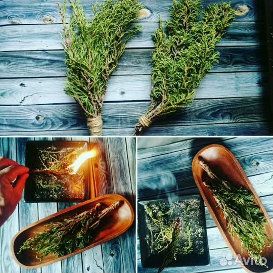 Артыш (можжевельник) 