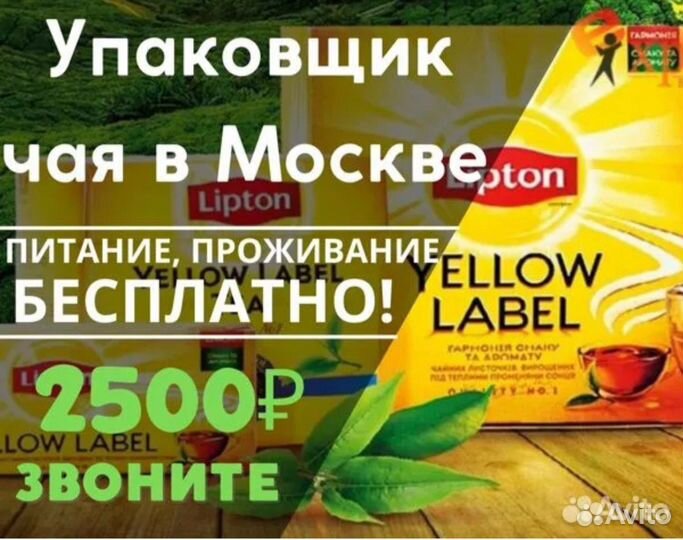 Вахта в Москве, Упаковщик чайной продукции, 15/15