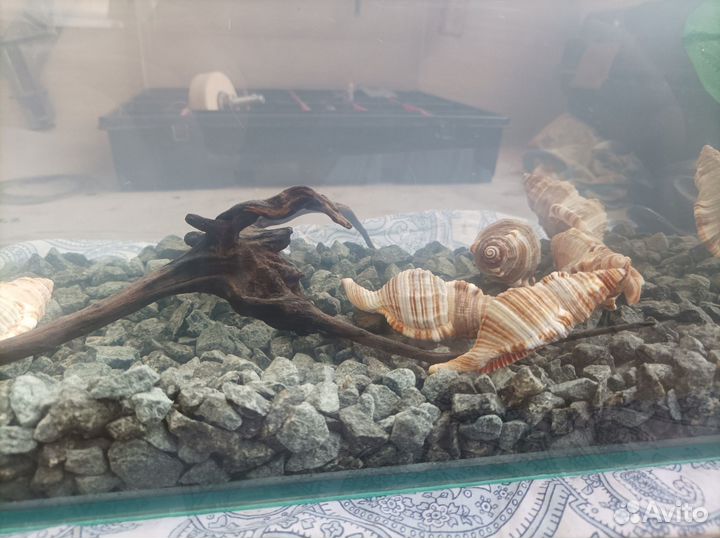 Аквариум 30 литров со всем что на фото