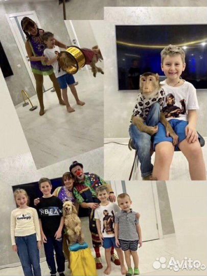 Аниматор Праздник с обезьянкой