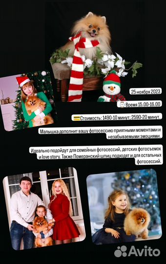 Новогодняя фотосессия