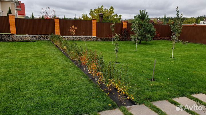 Рулонный газон. Озеленение участка под ключ