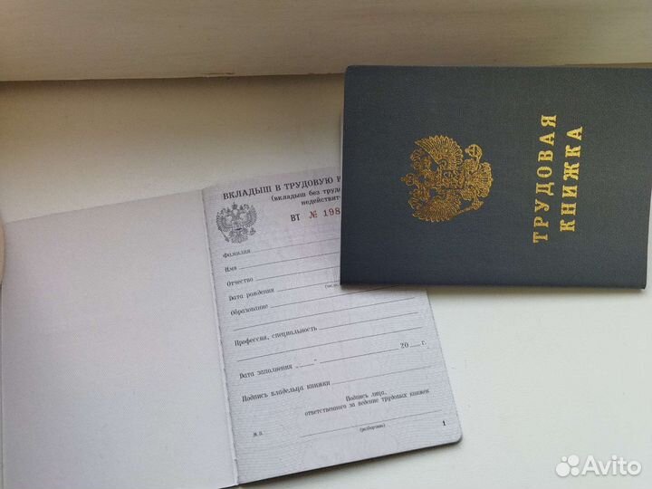 Вкладыш вт в трудовую книжку ТК 0 (2003 г)