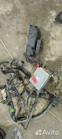 Эбу мозги MPV