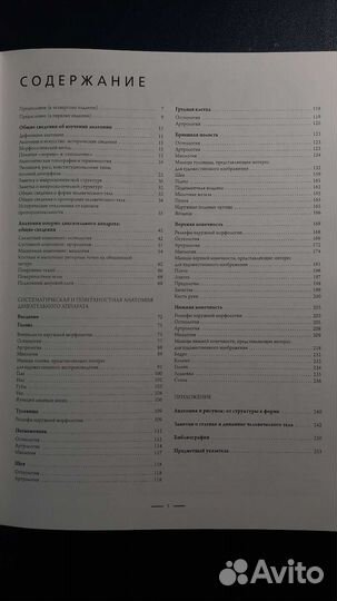 Анатомия для художников