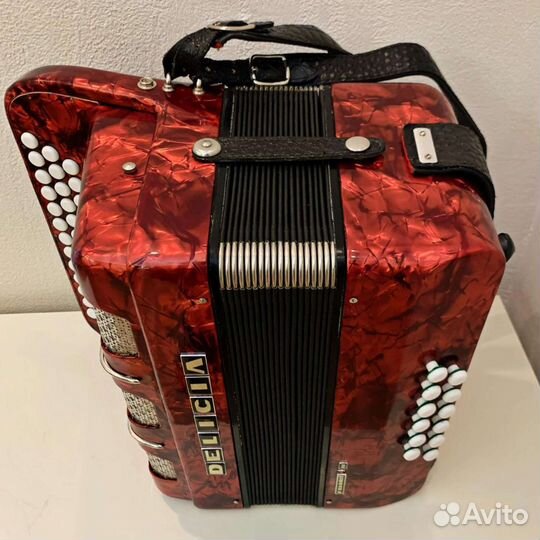 Баян (кнопочный аккордеон) Delicia Favorit lll