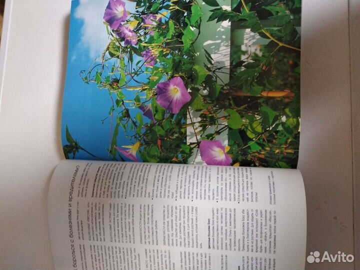 Огромная книга по цветоводству 1000 комнатных цвет