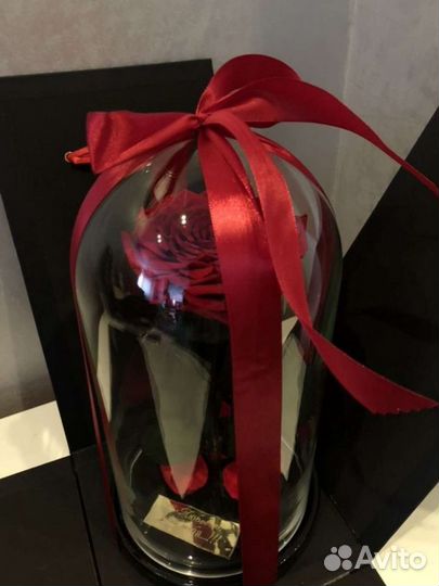 Роза в колбе