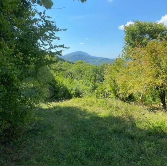 Участок 4,8 сот. (СНТ, ДНП)