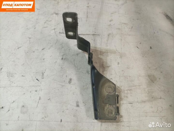 Петля капота правая Renault Megane 2 (2002 - 2006)