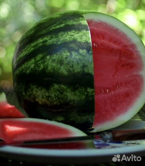 Арбуз разные сорта, семена