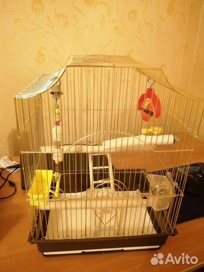 Клетка для попугая