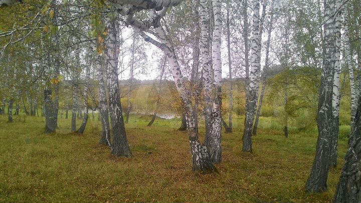Участок 8,5 га (СНТ, ДНП)