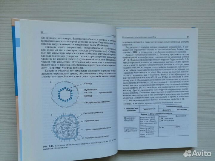 Медицинская микробиология, вирусология (2014г.)