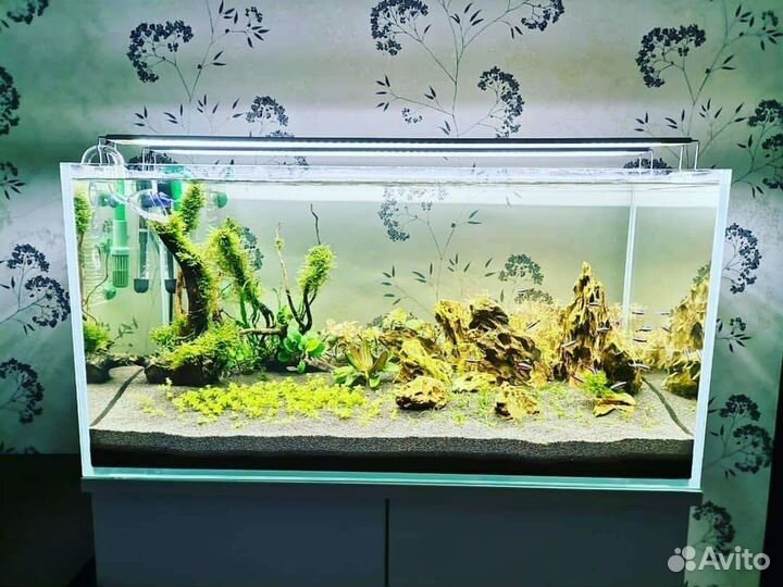 Аквариум Optiwhite