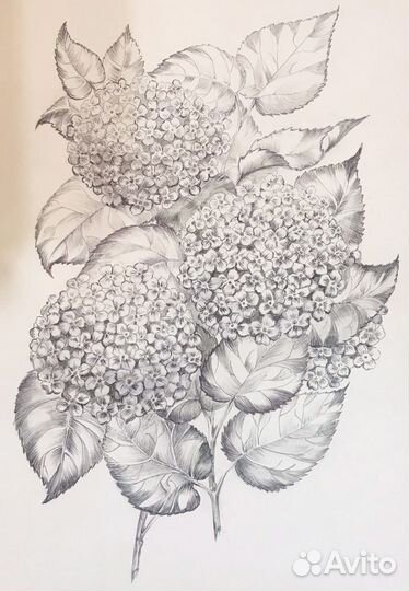 Картины графика