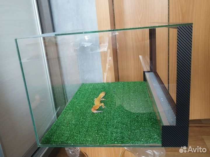 Террариум для рептилий Новый