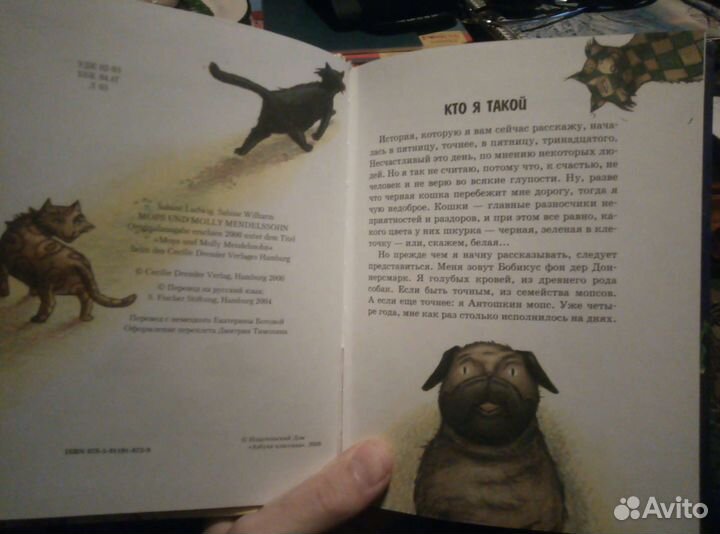 Книга. Морс и Молли Мендельсон