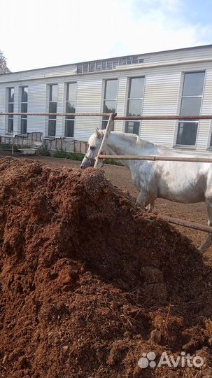 Навоз в мешках