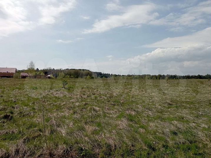 Участок 1,3 га (СНТ, ДНП)