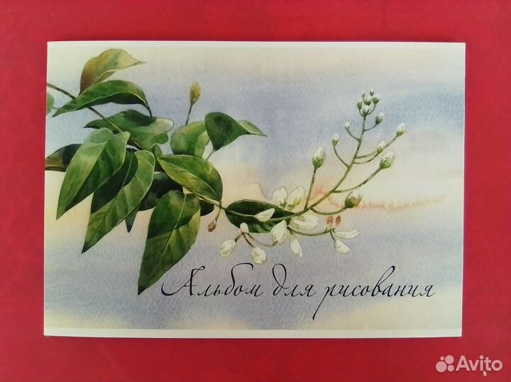 Альбом для рисования. Расходники